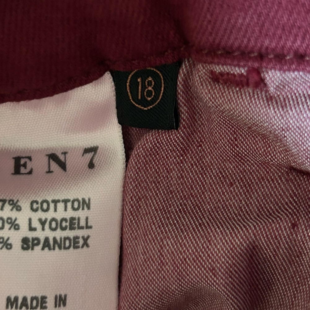 7 For All Mankind Jen 7 Burgundy Ankle Skinny Pant NWT Size 18 - Picture 4 of 8